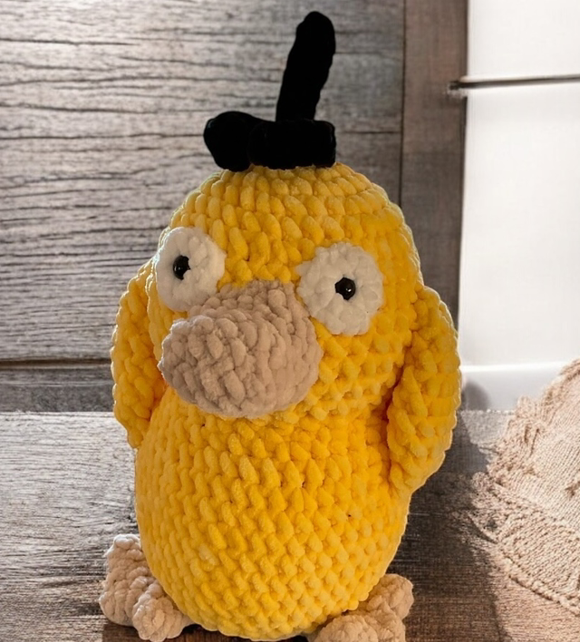 Canard songeur